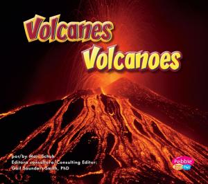 Cover of the book Volcanes/Volcanoes by Steve Brezenoff