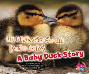 Cover of the book La historia de un pato bebé/A Baby Duck Story by Bernadette Kelly