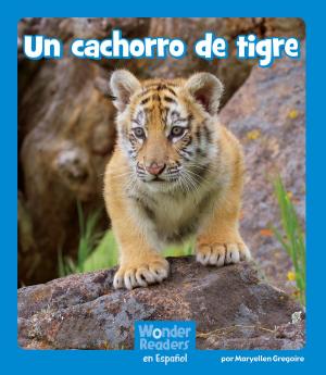 Cover of the book Un cachorro de tigre by Marci Peschke