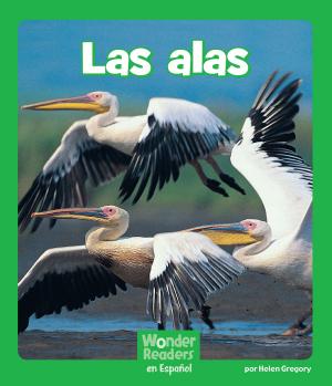 Book cover of Las alas