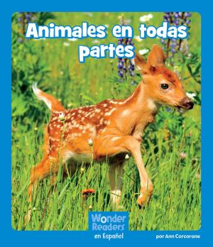Cover of the book Animales en todas partes by Sarah Gillespie