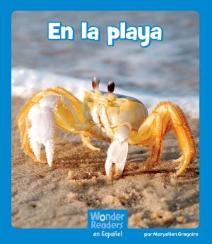Book cover of En la playa