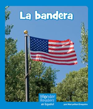 Book cover of La bandera
