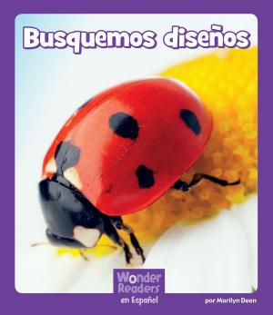 Cover of the book Busquemos diseños by Jan Burchett