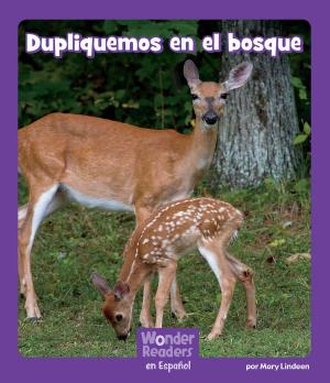 Cover of the book Dupliquemos en el bosque by Marci Peschke