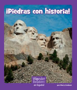 Cover of the book Piedras con historia by Rebecca Leigh Rissman