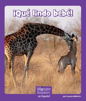 Cover of the book ¡Qué lindo bebé! by Michael Hurley