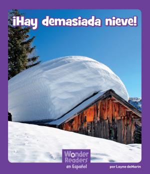Cover of the book ¡Hay demasiada nieve! by Jake Maddox