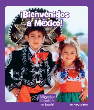 Cover of the book ¡Bienvenidos a México! by Jake Maddox