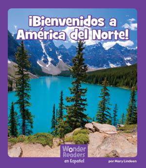 Book cover of ¡Bienvenidos a América del Norte!