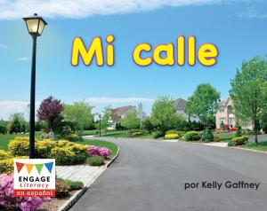 Book cover of Mi calle