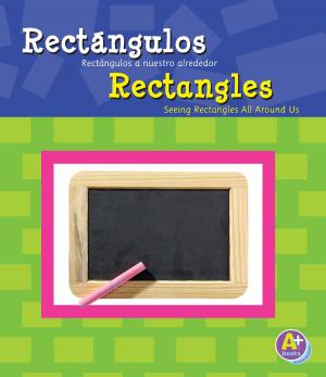 Cover of the book Rectángulos/Rectangles by Steve Brezenoff