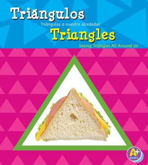 Cover of the book Triángulos/Triangles by Michael Dahl