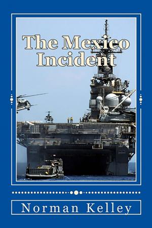 Cover of the book The Mexico Incident by Wendy Milton