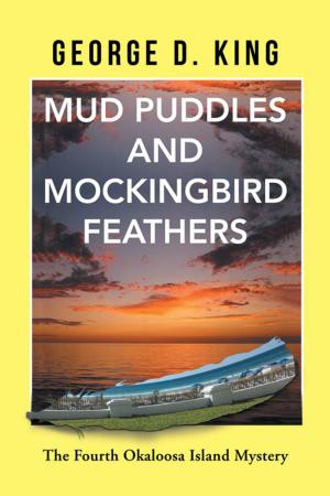 Cover of the book Mud Puddles and Mockingbird Feathers by Richard D. Ollek CBSE