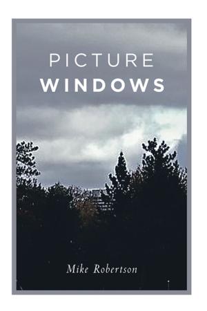 Cover of the book Picture Windows by Sharon Buffkin