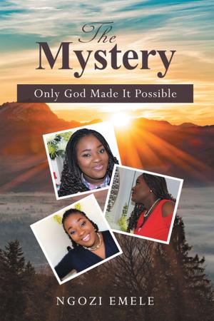 Cover of the book The Mystery by Donald Hunter Jr.