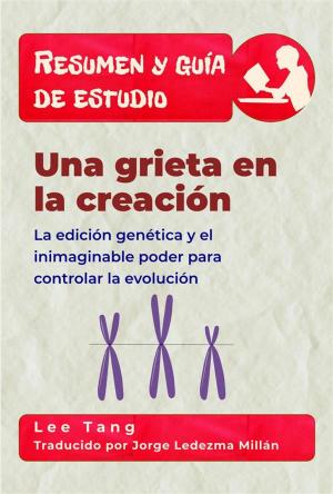 Book cover of Resumen Y Guía De Estudio - Una Grieta En La Creación