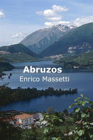 Cover of the book Abruzos by Patricia Müller