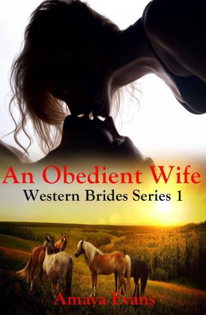 Cover of the book An Obedient Wife by Christina Vinters