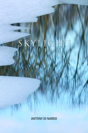 Cover of the book Skylight by Dan Rubenstein, Nancy Dyson