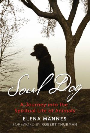 bigCover of the book Soul Dog by 