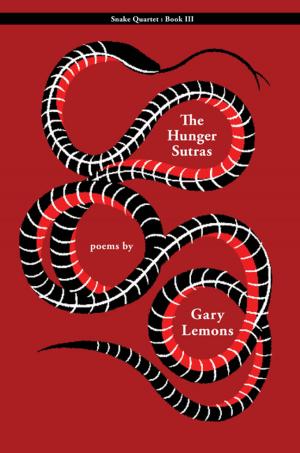 Cover of the book Snake III by Gary Lemons