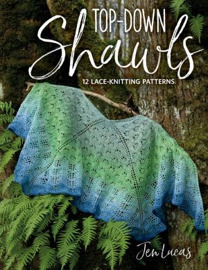 Cover of the book Top-Down Shawls by Lynn Ann Majidimehr