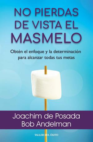Book cover of No pierdas de vista el masmelo