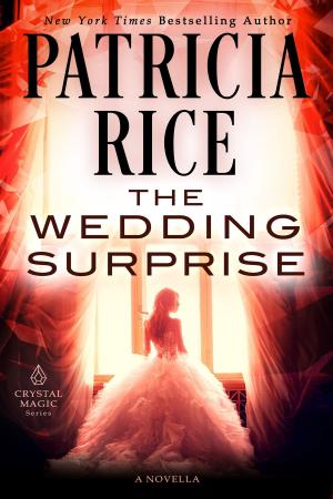 Cover of the book The Wedding Surprise by Chris Dolley