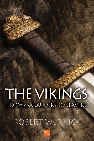 bigCover of the book The Vikings: From Marauders to Slavers by 