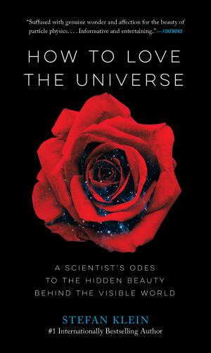 Cover of the book How to Love the Universe by Lúcia Barros, Márcia De Luca