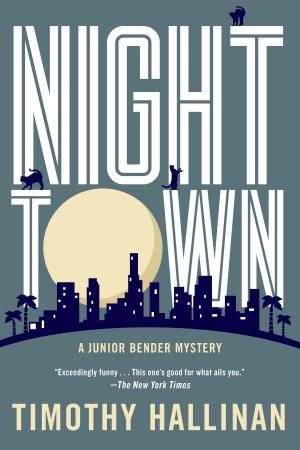 Cover of the book Nighttown by Janwillem van de Wetering