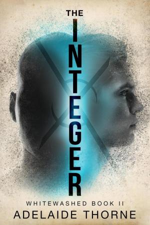 Cover of the book The Integer by Majanka Verstraete