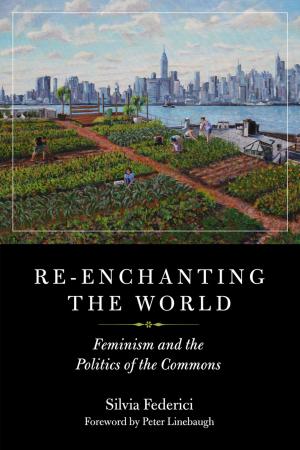 Cover of the book Re-enchanting The World by Rachel Pollack