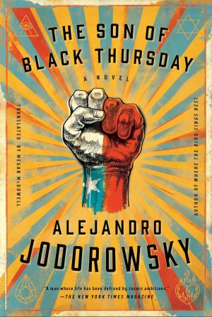 Cover of the book The Son of Black Thursday by Ruth Ozeki
