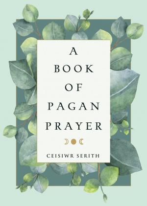 Cover of the book A Book of Pagan Prayer by Sophie Perenne