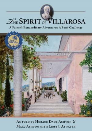 Book cover of The Spirit of Villarosa: A Father's Extraordinary Adventures; A Son's Challenge