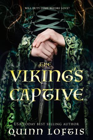 Cover of the book The Viking's Captive by Julie Wetzel
