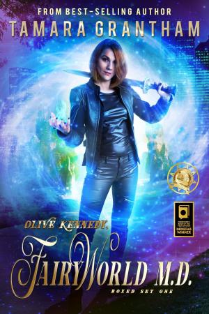 Cover of the book Fairy World M.D., Boxed Set One by Kristin Smith