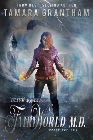 Cover of the book Fairy World M.D., Boxed Set Two by Tamara Grantham