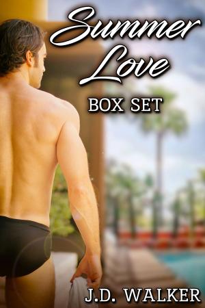 Cover of the book Summer Love Box Set by Annie Burrows