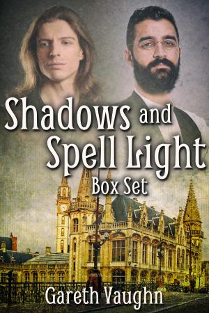 Book cover of Shadows and Spell Light Box Set