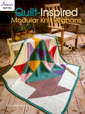 Book cover of Quilt Inspired Modular Knit Afghans