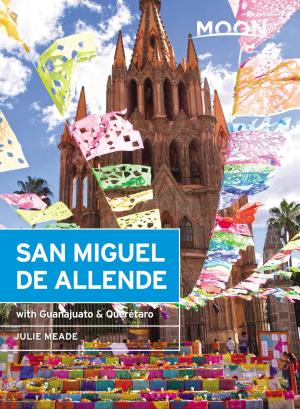 Cover of the book Moon San Miguel de Allende by Sam Dave Morgan