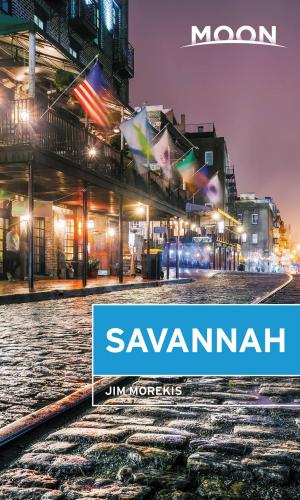 Book cover of Moon Savannah