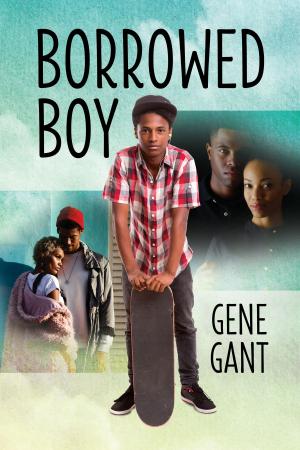 Cover of the book Borrowed Boy by E E Montgomery