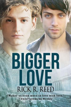 Cover of the book Bigger Love by Allison Cassatta