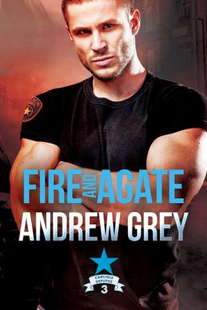 Book cover of Fire and Agate