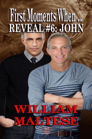 Cover of the book John: First Moments When....Reveal #6 by Diana DeRicci